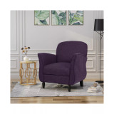 Swainson Arm Chair
