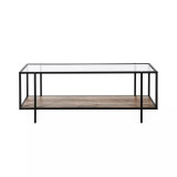 Vireo Coffee Table with Shelf, 45" x 20"