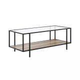 Vireo Coffee Table with Shelf, 45" x 20"