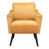 32" Wood, Polyester Bastille Boho Chic Accent Chair