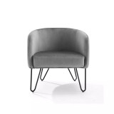 Parkway Velvet Accent Chair