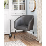 30" Steel, Polyester Quinten Boho Chic Accent Chair