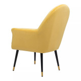 37" Steel, Polyester Alexandria Boho Chic Accent Chair