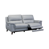 Lizette Reclining Sofa