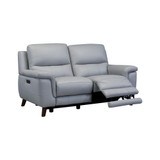 Lizette Reclining Loveseat