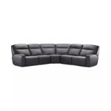 Dextan Leather 5-Pc. Sectional with 2 Power Recliners