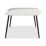 Jasmine Bi-Level Coffee Table
