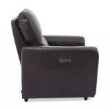 Danvors Leather Power Recliner