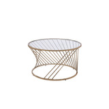 Bluelipe Coffee Table