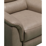 Shelly Leather Power Recliner