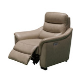 Shelly Leather Power Recliner