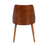 Anabelle Mid-Century Modern Dining Accent Chair