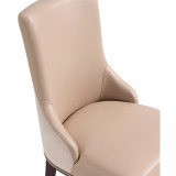 Shubert 2 Piece Beech Wood Faux Leather and Velvet Upholstered Dining Chair Set
