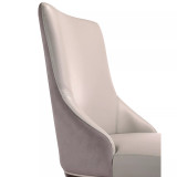 Shubert 2 Piece Beech Wood Faux Leather and Velvet Upholstered Dining Chair Set