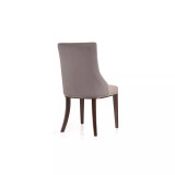 Shubert 2 Piece Beech Wood Faux Leather and Velvet Upholstered Dining Chair Set