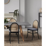 Paragon 2-Piece Ash Wood and Natural Cane Upholstered Dining Chair