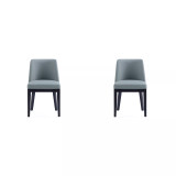 Gansevoort 2-Piece Beech Wood Faux Leather Upholstered Dining Chair Set