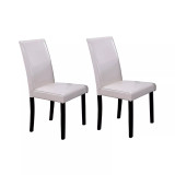 Megan Contemporary Dining Side Chairs, Set of 2
