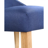 Allia Tufted Wingback Side Chair 2 Piece Set