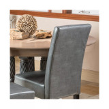 Neren Dining Chairs (Set Of 2)