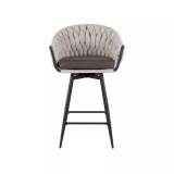 Braided Matisse Contemporary Counter Stool, Set of 2