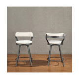 Cabezon Counter Height Swivel Stool (Set of 2)