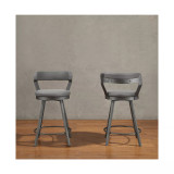 Cabezon Counter Height Swivel Stool (Set of 2)