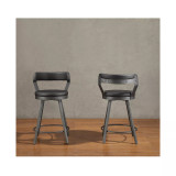 Cabezon Counter Height Swivel Stool (Set of 2)