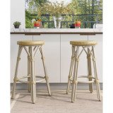 Livio 26" Patio Barstool Set, 2 Piece