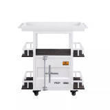 Cargo Serving Cart