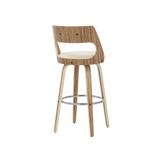 Cecina Mid-Century Modern Barstool with Swivel, Set of 2