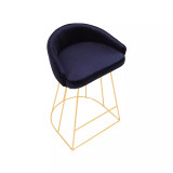 Canary Upholstered Counter Stool, Set of 2