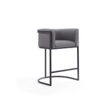 Cosmopolitan Counter Stool, Set of 2