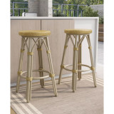 Livio 30" Patio Barstool, Set of 2
