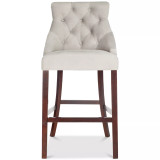 Folino Bar Stool (Set Of 2)