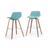Randolph Counter Stool (Set of 2)