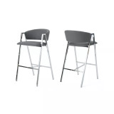 Masden Modern Barstool (Set of 2)