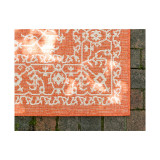 Pashio Pas6B Area Rug