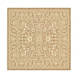 Pashio Pas6B Area Rug