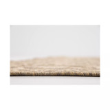 Pashio Pas6B Area Rug