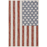 Outdoor Old Glory 2'2" x 3' Area Rug