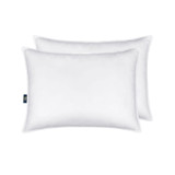 Down Illusion Medium Density Pillow 2-Pack, King