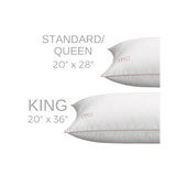 White Goose Down Firm Density Side/Back Sleeper Pillow with 100% Certified RDS Down, and Removable Pillow Protector, Standard/Queen, White