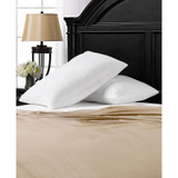 2 Pack Superior Comfort Down Alternative Pillows, Standard
