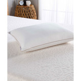 Back/Stomach Sleeper Pillow, Standard/Queen