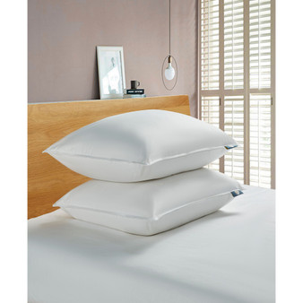 White Goose Feather & Down Fiber Back Sleeper 2-Pack Pillow, Standard/Queen