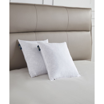 Feather Filled 2-Pack Pillow, 20" x 20"