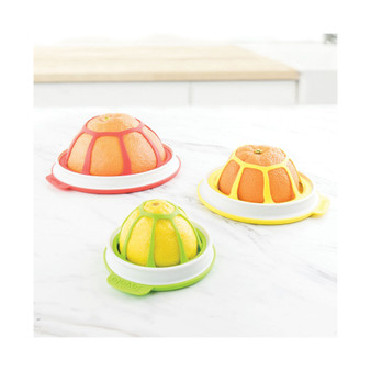 Seal Store - Set Of 3