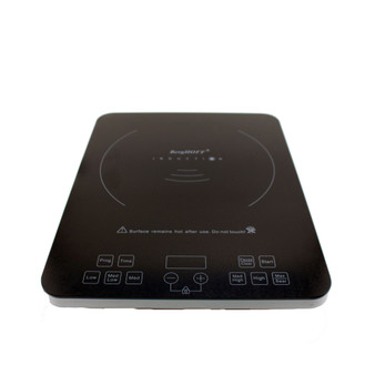 Touch Screen Induction Stove