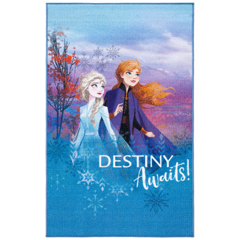 Disney Frozen 2 Destiny 3'3" x 5'3" Area Rug